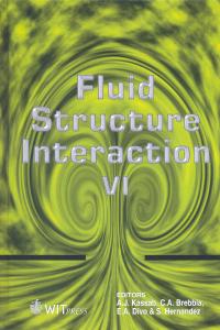 Fluid Structure Interaction VI